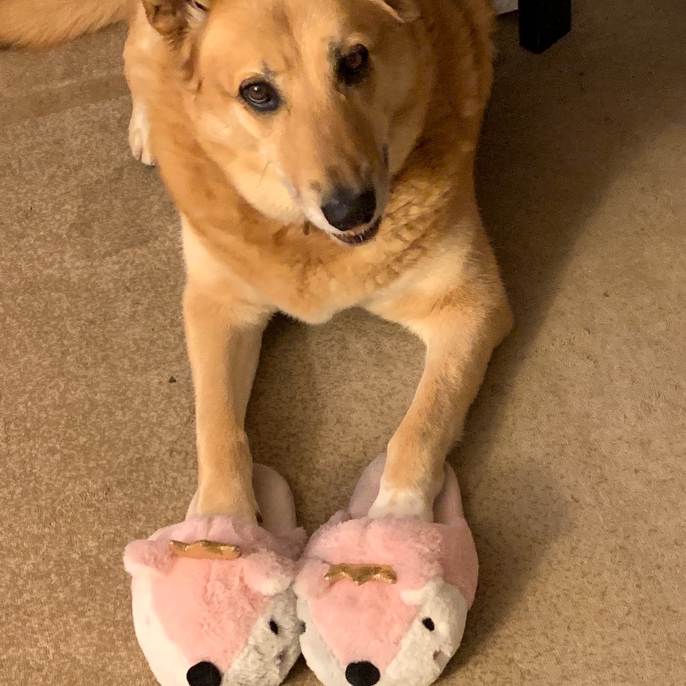 Meet your Posher, Roxana